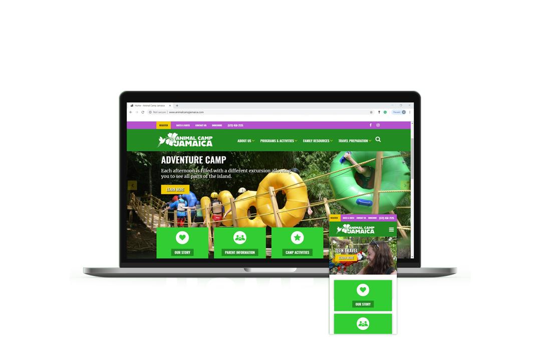 Animal Camp Jamaica Website Design Portfolio Image