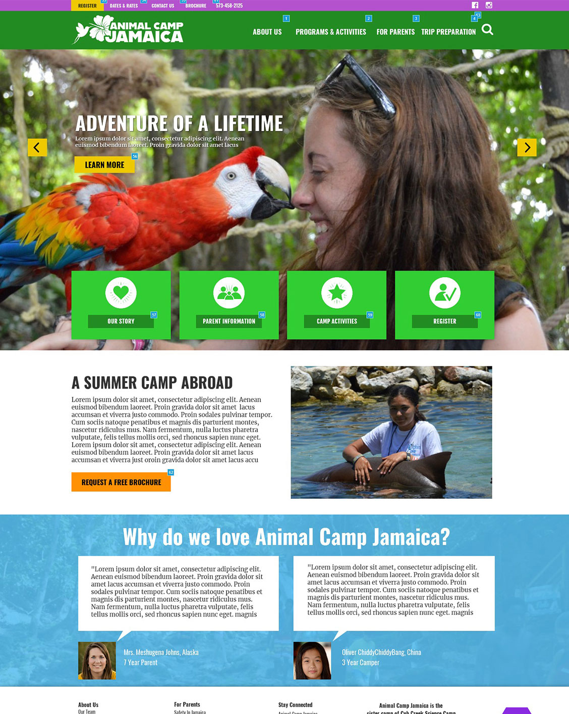 Animal Camp Jamaica - High Fidelity Mockup Portfolio Image - Designs by Martin Holloway