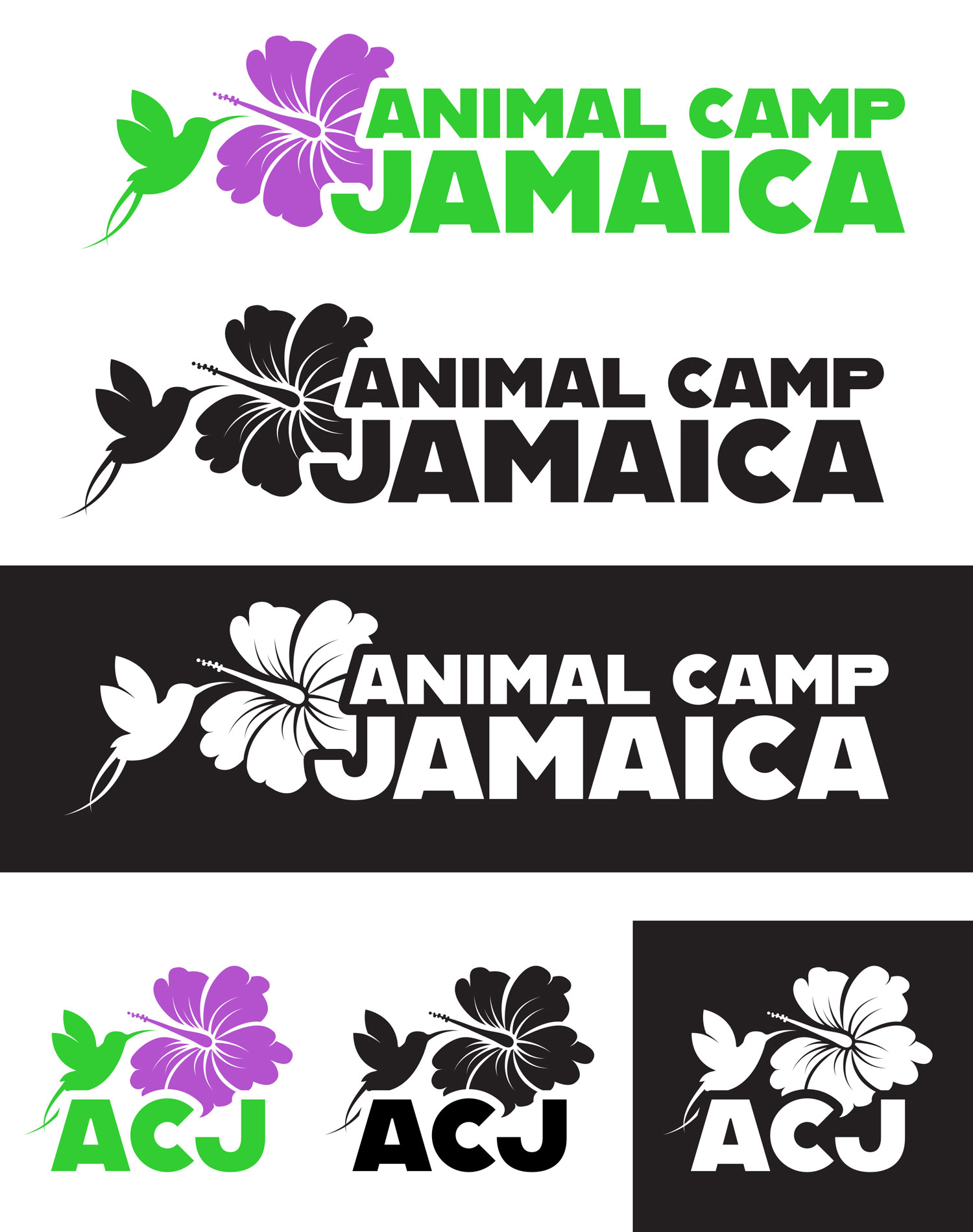 Animal Camp Jamaica - Logo Design Portfolio Image - Designs by Martin Holloway